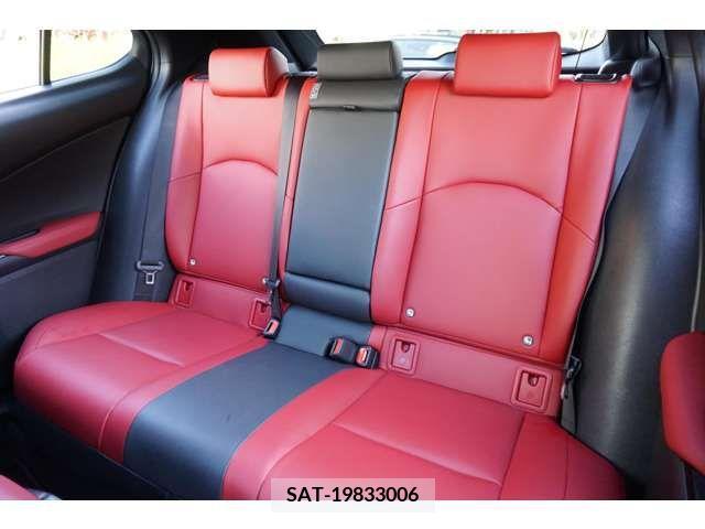 Lexus UX 2019-03 206034-16