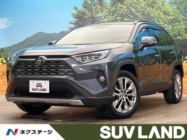 Toyota RAV4 2021-01 193199-0