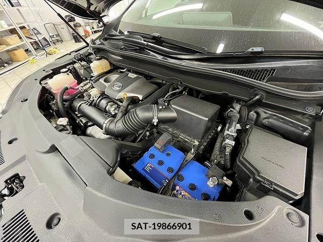 Lexus RX 2017-03 299702-13