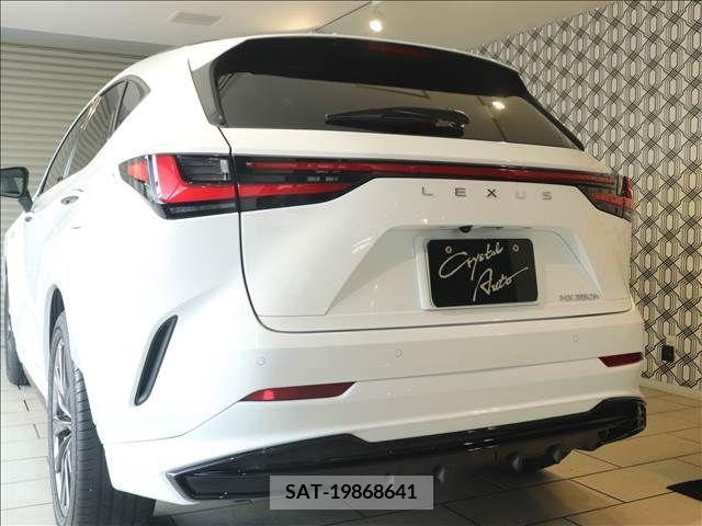 Lexus NX 2022-01 362965-18