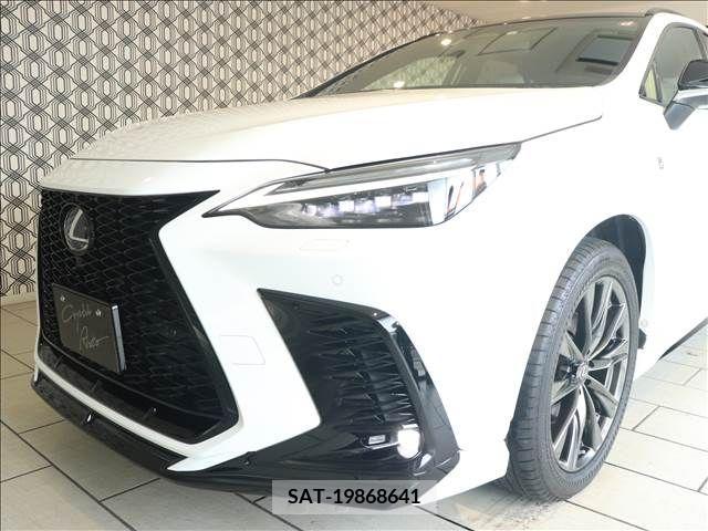 Lexus NX 2022-01 362965-14