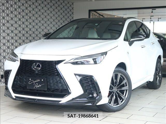 Lexus NX 2022-01 362965-0