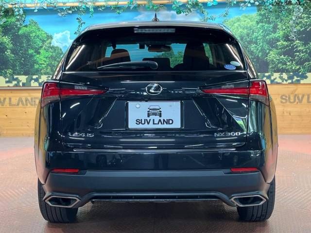 Lexus NX 2018-05 10343-16