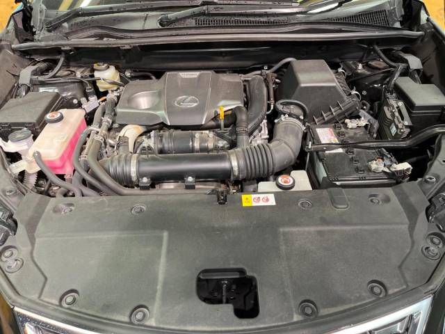 Lexus NX 2018-05 10343-19