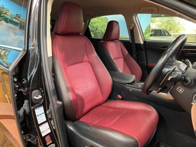 Lexus NX 2018-05 10343-12