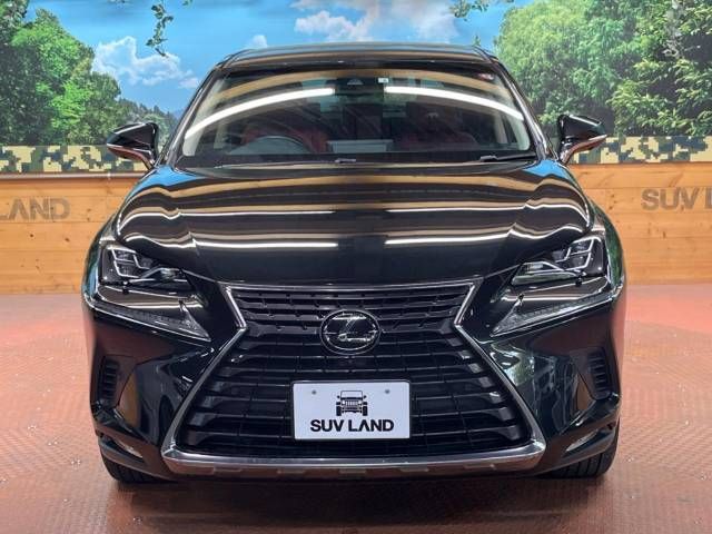 Lexus NX 2018-05 10343-15