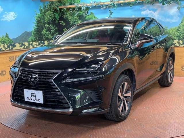 Lexus NX 2018-05 10343-18