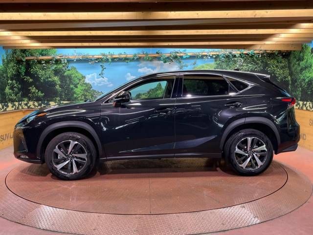 Lexus NX 2018-05 10343-17
