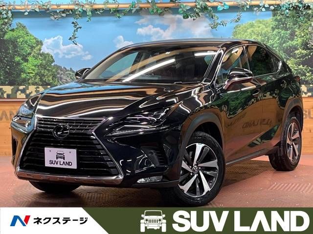 Lexus NX 2018-05 10343-0