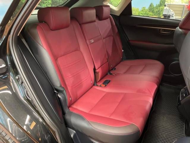 Lexus NX 2018-05 10343-13