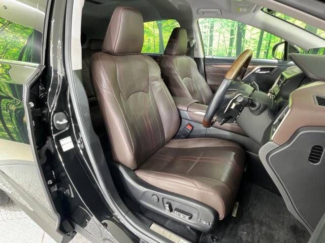 Lexus RX 2020-10 9271-8