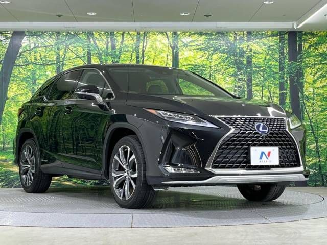 Lexus RX 2020-10 9271-16
