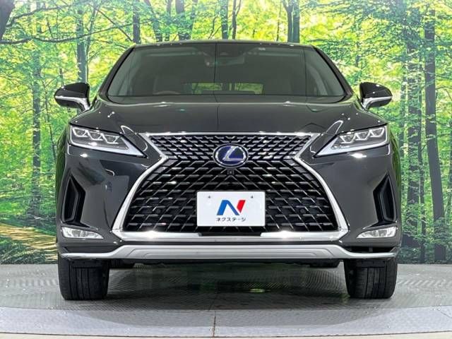 Lexus RX 2020-10 9271-14