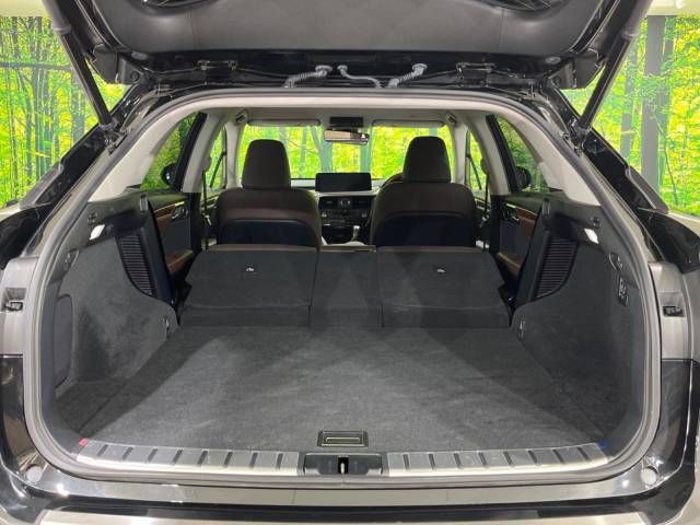 Lexus RX 2020-10 9271-10