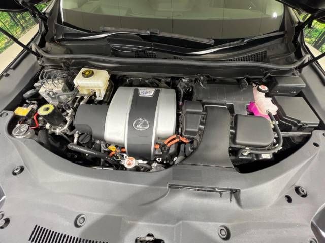 Lexus RX 2020-10 9271-18