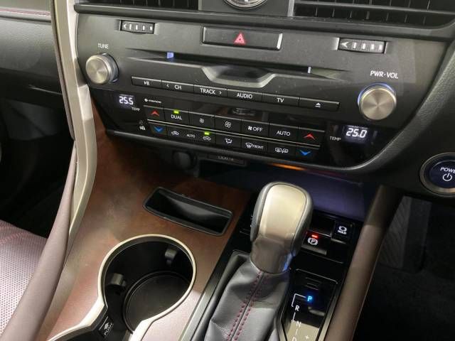 Lexus RX 2020-10 9271-6
