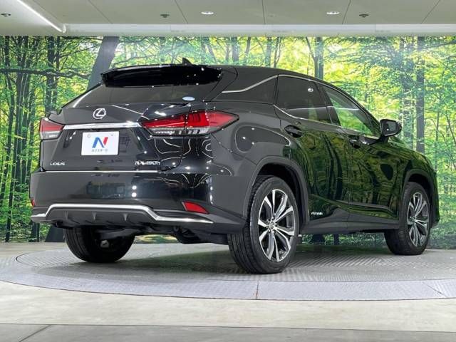 Lexus RX 2020-10 9271-17