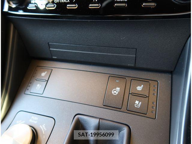 Lexus IS 2023-06 275414-13