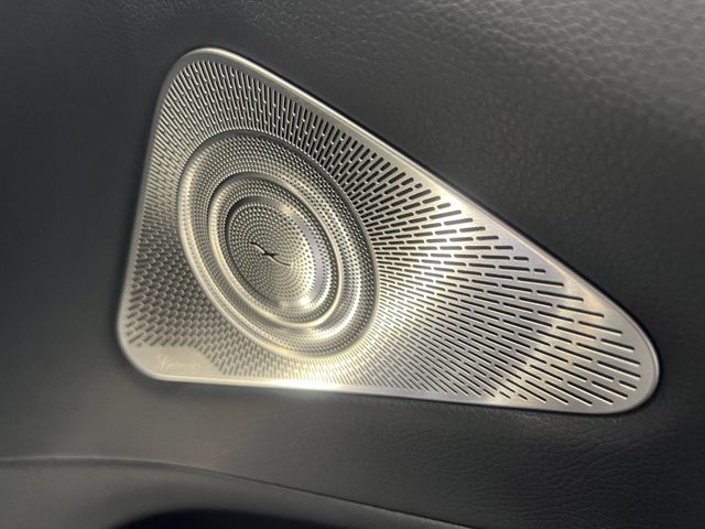 Mercedes Benz S-CLASS 2021-02 195167-17