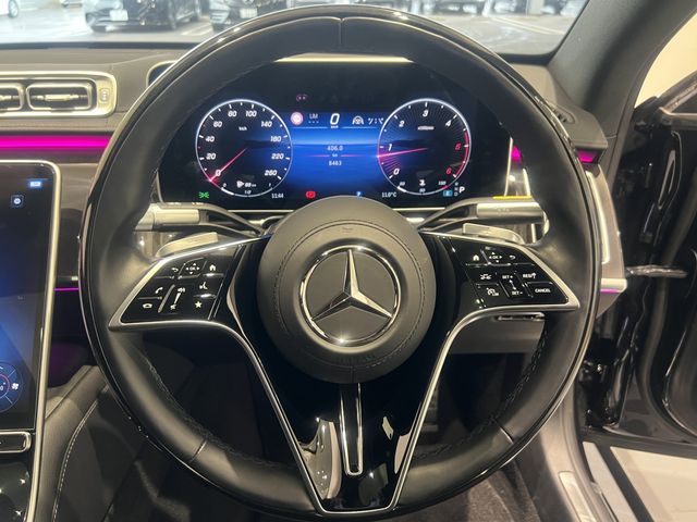 Mercedes Benz S-CLASS 2021-02 195167-8