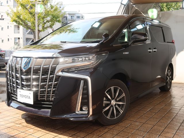 Toyota ALPHARD HYBRID 2021-03 185288-19