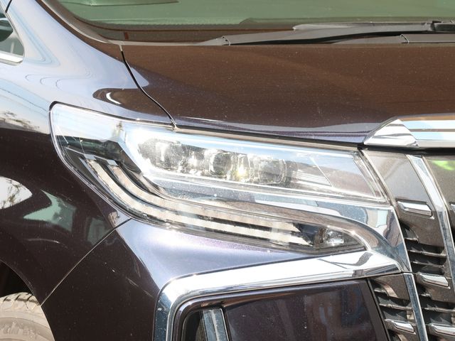 Toyota ALPHARD HYBRID 2021-03 185288-23