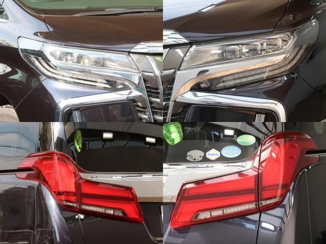 Toyota ALPHARD HYBRID 2021-03 185288-5