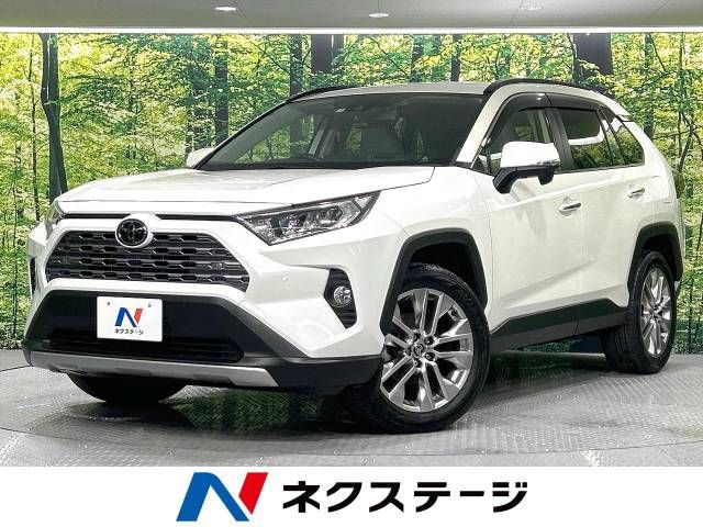 Toyota RAV4 2021-06 20346-0