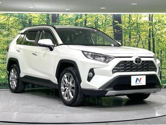 Toyota RAV4 2021-06 20346-16