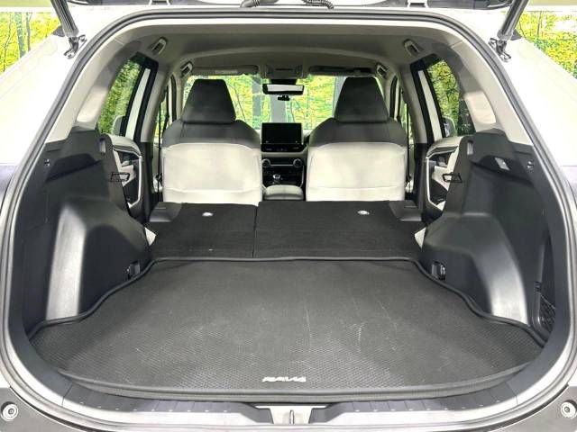 Toyota RAV4 2021-06 20346-10