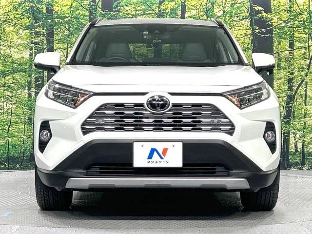 Toyota RAV4 2021-06 20346-14