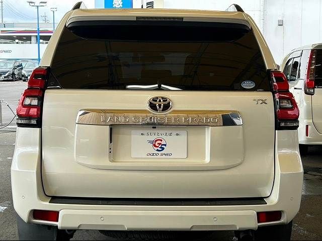 Toyota PRADO 2019-03 26534-13