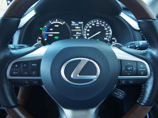 Lexus RX 2021-05 7383-13