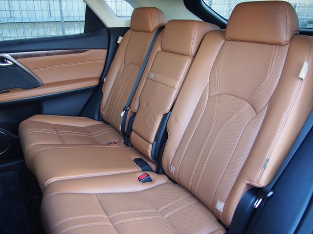 Lexus RX 2021-05 7383-6