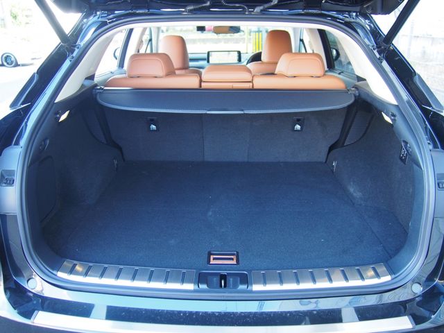 Lexus RX 2021-05 7383-8