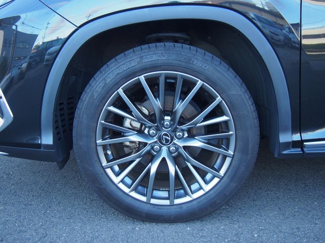Lexus RX 2021-05 7383-19
