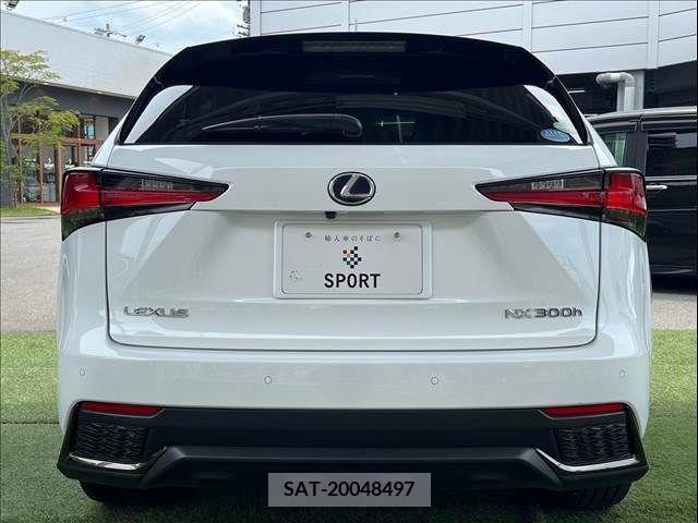 Lexus NX 2019-09 354001-13
