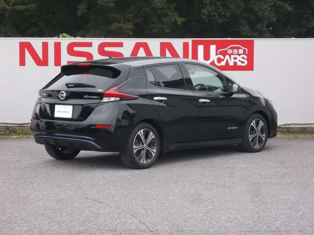 Nissan LEAF 2019-09 10529-1