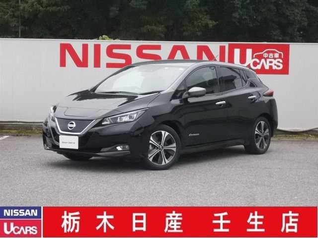 Nissan LEAF 2019-09 10529-0
