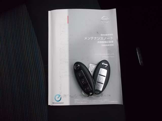Nissan LEAF 2019-09 10529-5