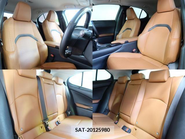 Lexus UX 2019-08 388249-2