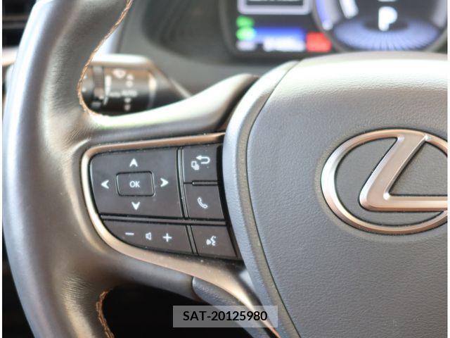 Lexus UX 2019-08 388249-20