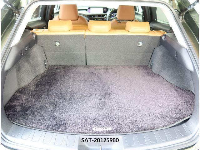 Lexus UX 2019-08 388249-28