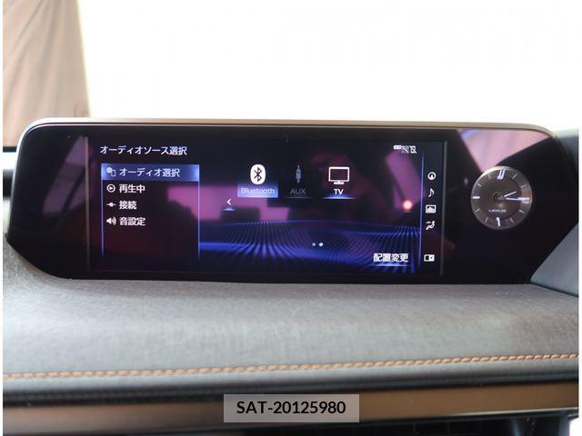 Lexus UX 2019-08 388249-10