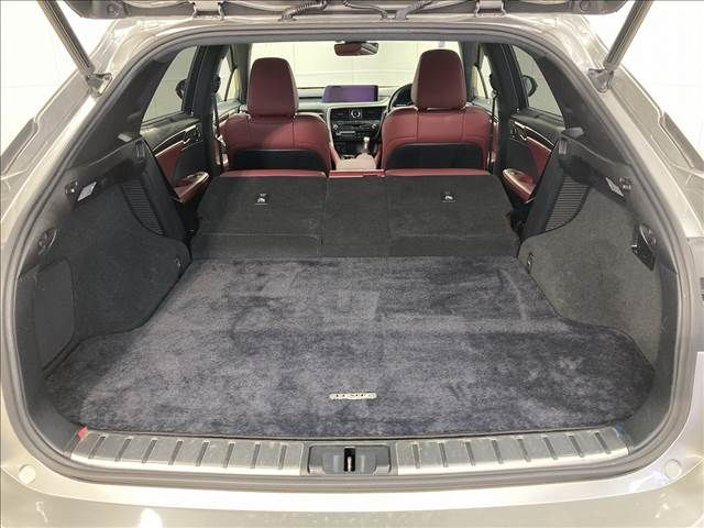 Lexus RX 2016-02 19926-13