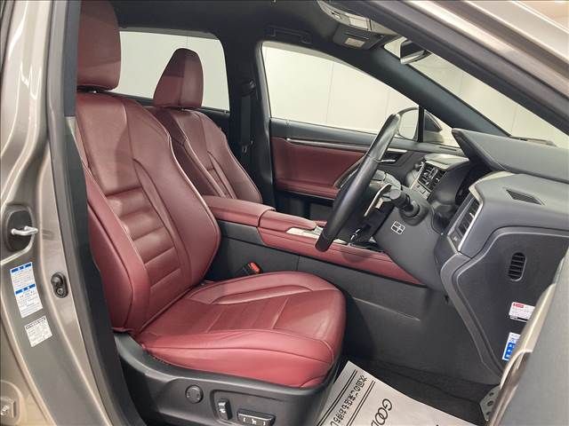 Lexus RX 2016-02 19926-11