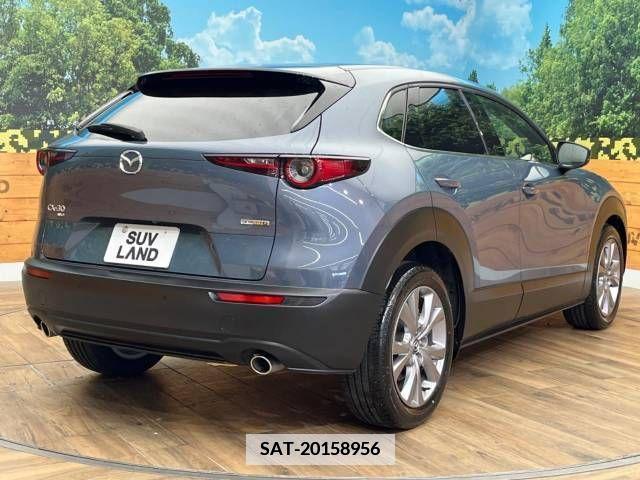 Mazda CX-30 2022-01 345749-17