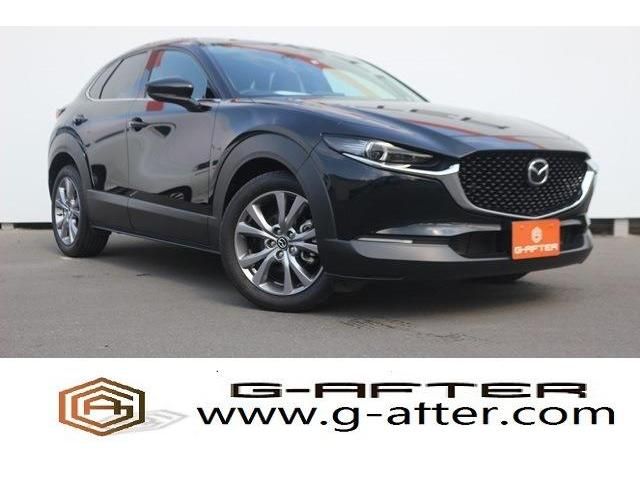 Mazda CX-30 2020-01 17590-0