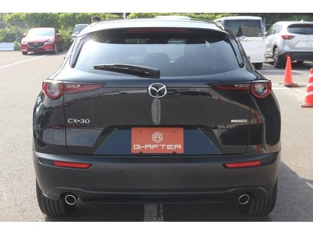 Mazda CX-30 2020-01 17590-3