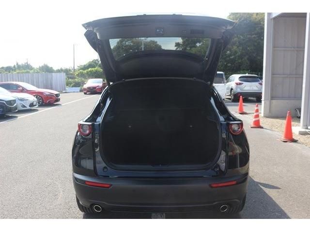 Mazda CX-30 2020-01 17590-9